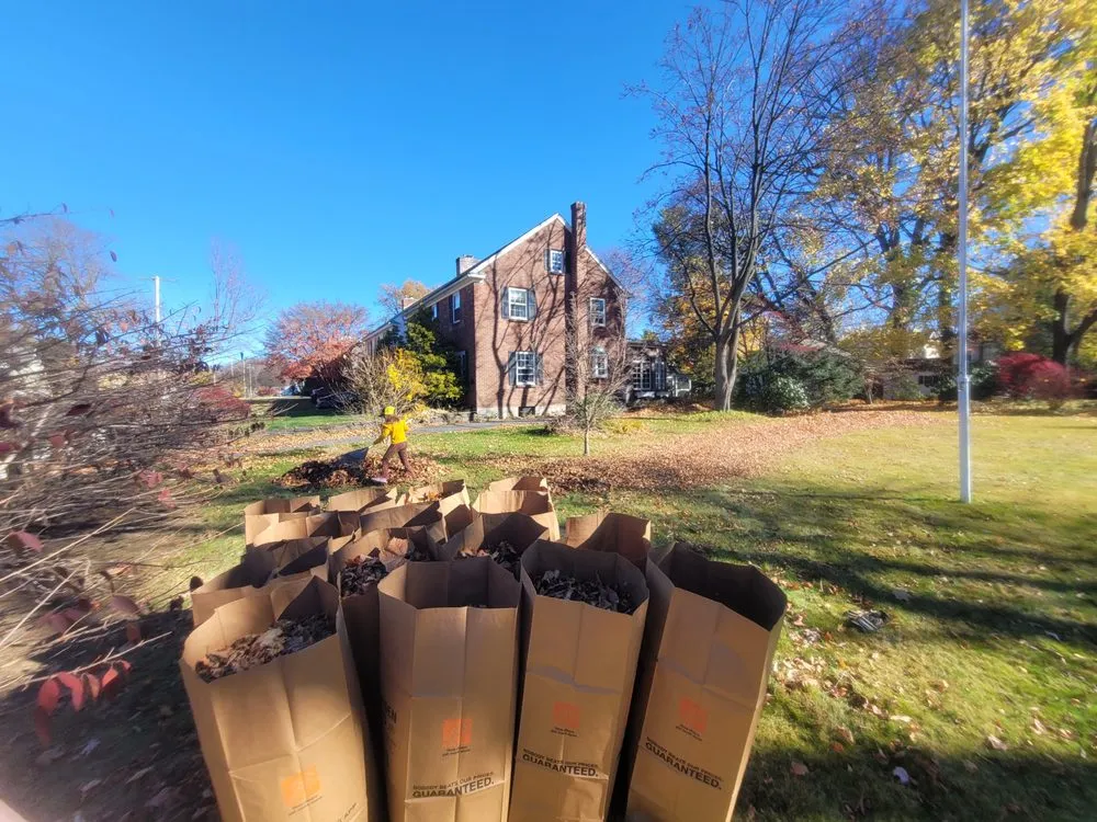 Top-rated yard cleanup service for beautiful yards in Rensselaer, NY by MJI Outdoor Services