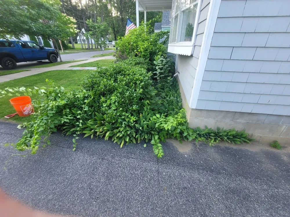 Trusted yard maintenance near you across Rensselaer, NY - MJI Outdoor Services