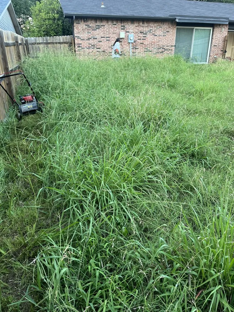 Professional landscaping services for outdoor upgrades in Dallas, TX by MJJ Landscaping