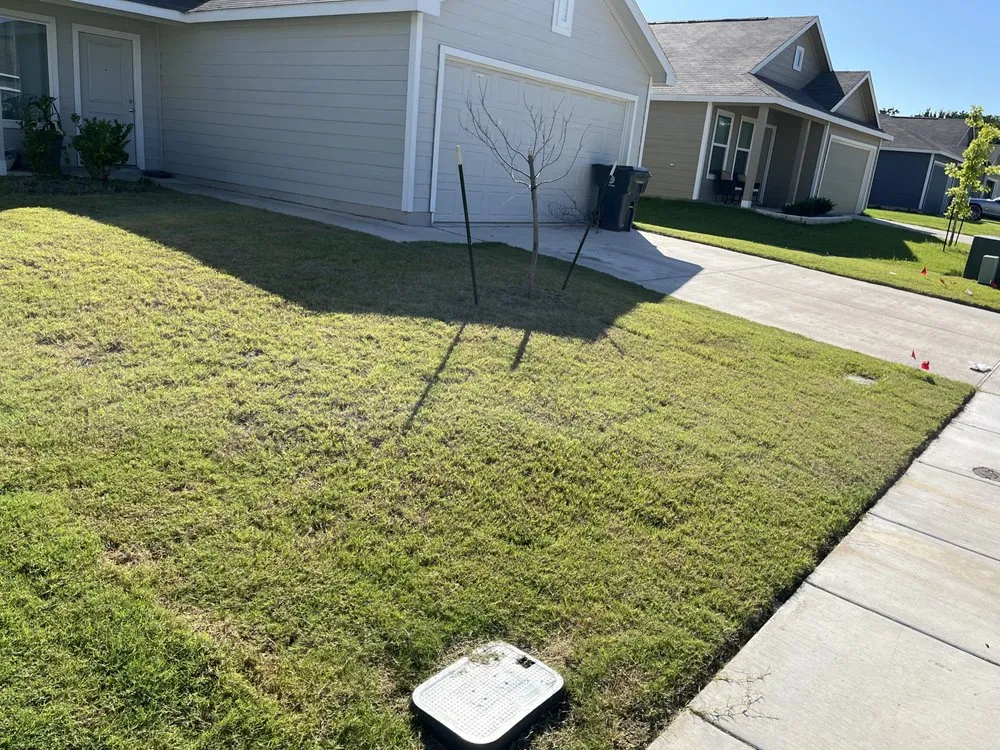 Top-rated yard maintenance in Dallas, TX - MJJ Landscaping