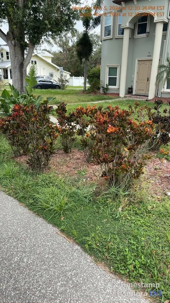 Trusted lawn mowing service in Lutz, FL - MJK Landscaping
