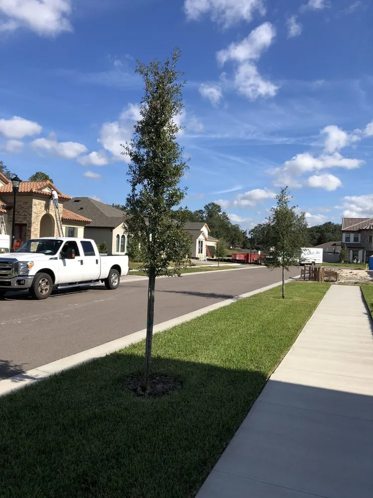 Professional outdoor landscaping for residential properties in Lutz, FL by MJK Landscaping