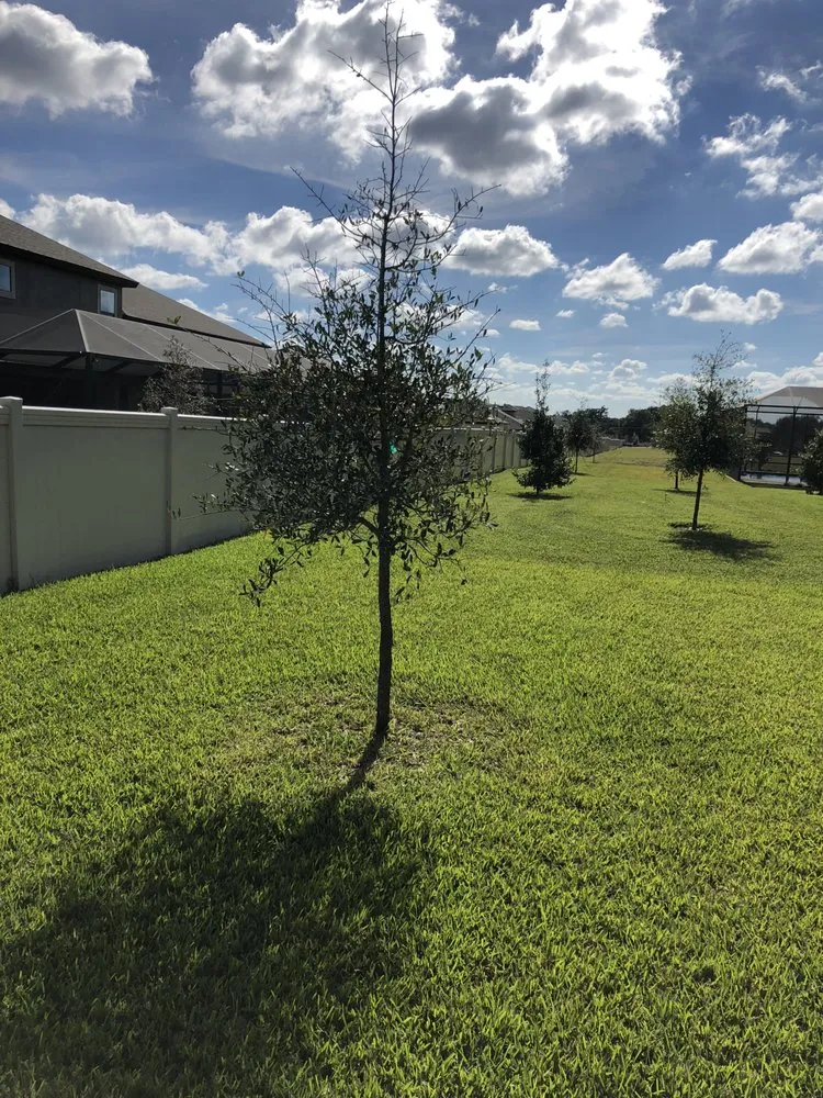 Trusted yard maintenance for beautiful yards in Lutz, FL by MJK Landscaping