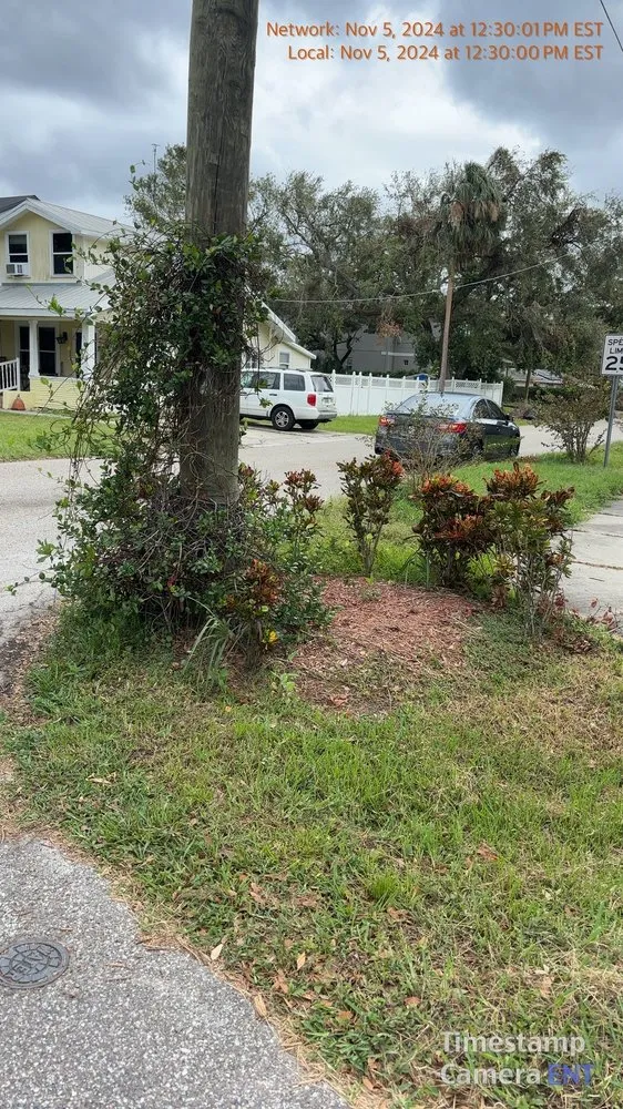 Trusted lawn care service near you in Lutz, FL by MJK Landscaping