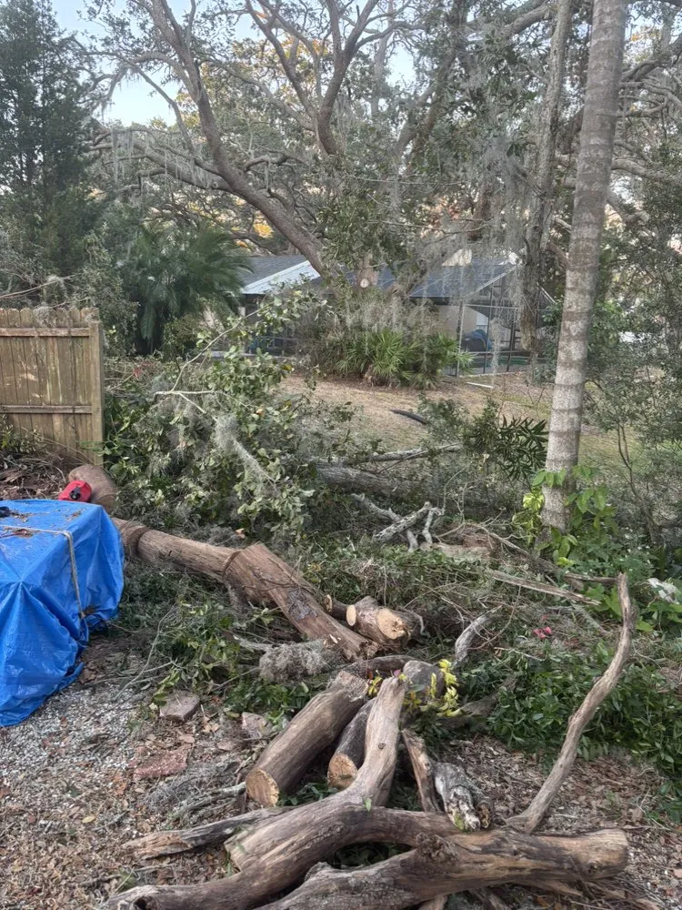 Trusted landscaping services in Lutz, FL by MJK Landscaping