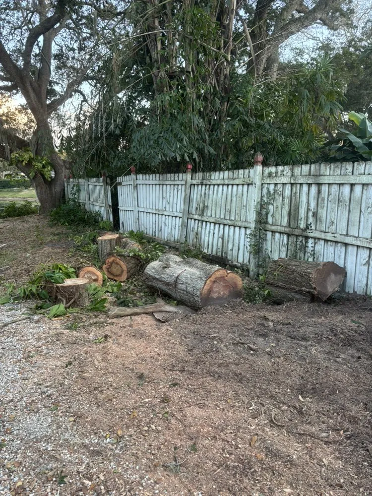 Trusted landscaping services in Lutz, FL by MJK Landscaping