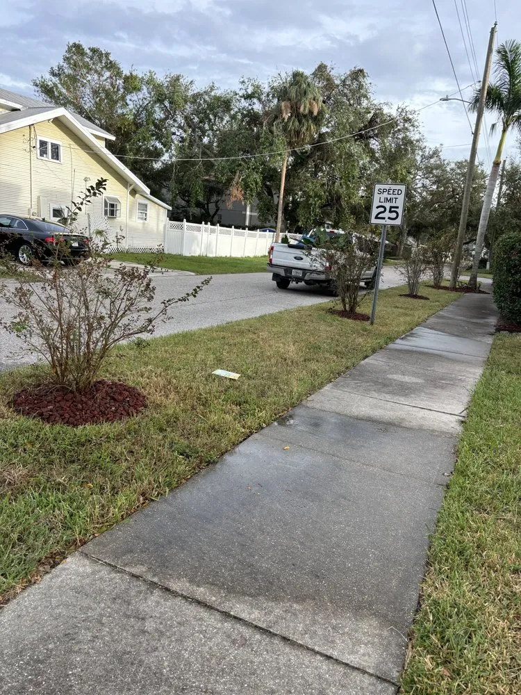 Local lawn care service in Lutz, FL - MJK Landscaping