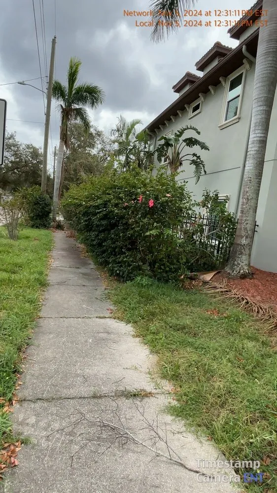 Affordable landscape installation in Lutz, FL - MJK Landscaping