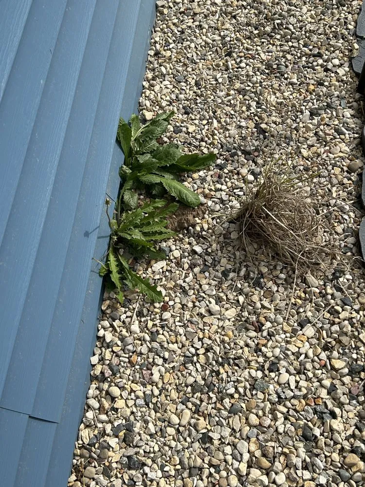 Local outdoor landscaping in Elkhorn, WI by MJL Lawncare