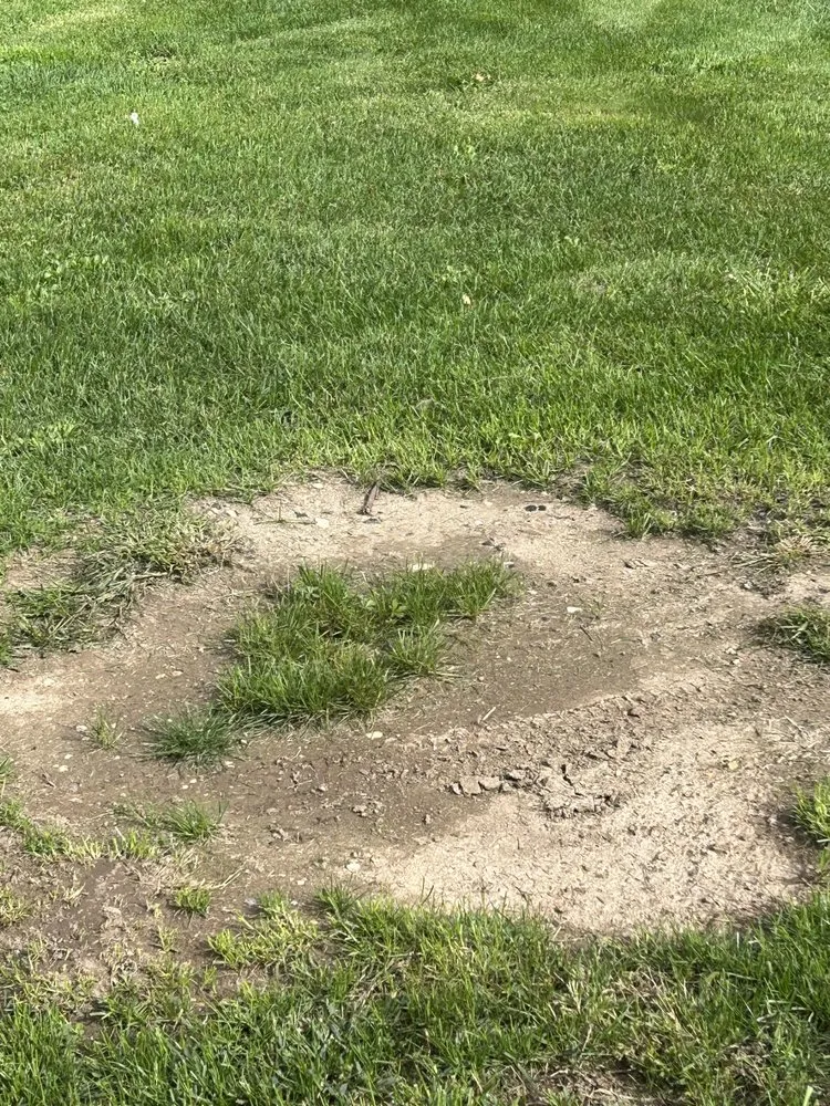 Expert landscaping services for homes across Elkhorn, WI - MJL Lawncare