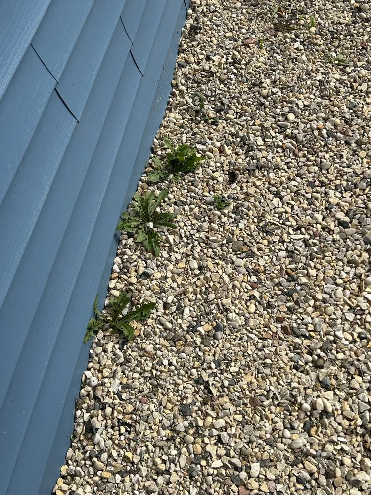 Expert landscape installation in Elkhorn, WI by MJL Lawncare