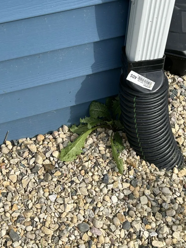 Affordable landscape design in Elkhorn, WI by MJL Lawncare