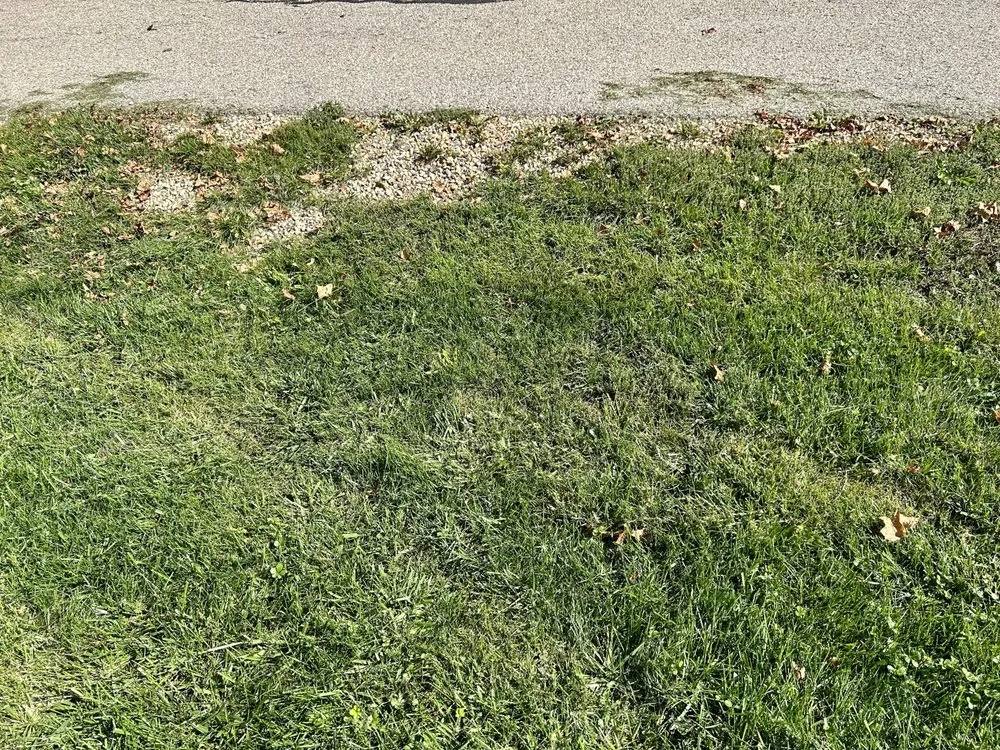 Custom lawn care service in Elkhorn, WI - MJL Lawncare