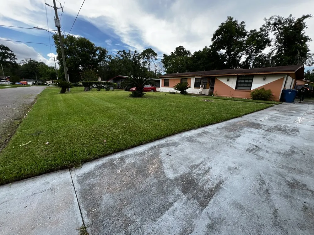 Local yard cleanup service experts serving Jacksonville, FL - MJM Lawn Care