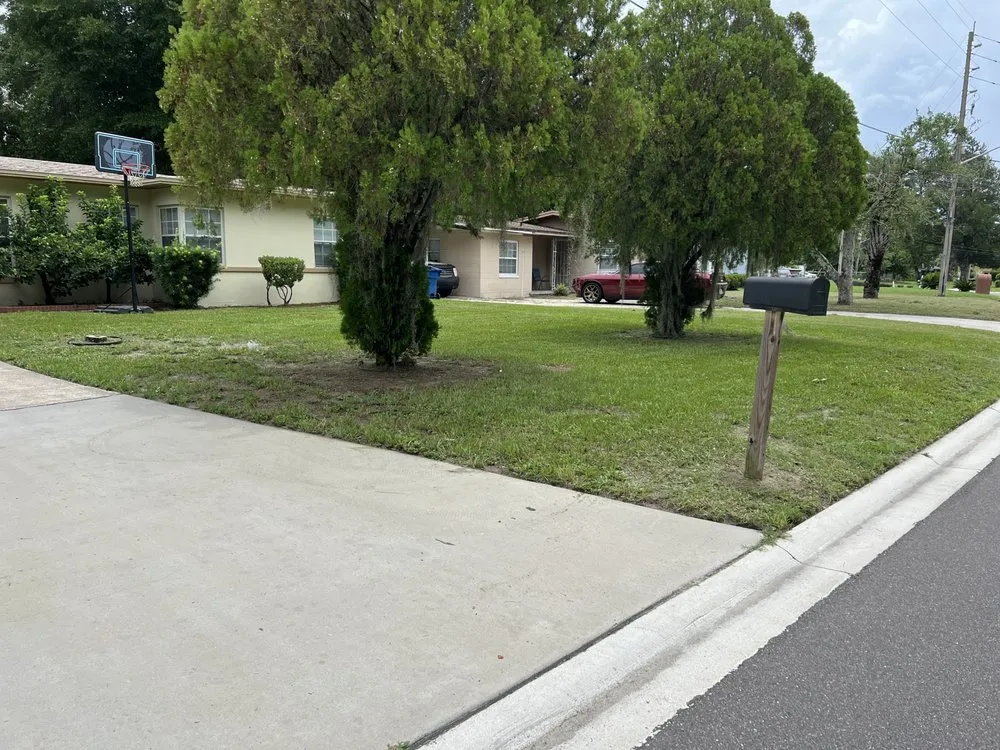 Reliable yard cleanup service for beautiful yards in Jacksonville, FL by MJM Lawn Care