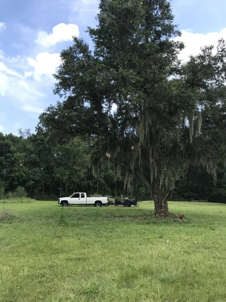 Expert landscape design in Jacksonville, FL - MJM Lawn Care