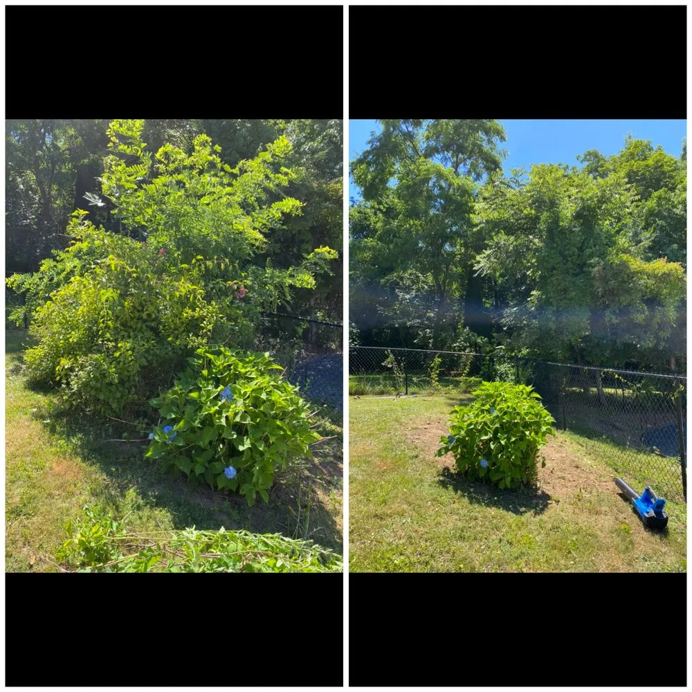 Custom outdoor landscaping for year-round maintenance in Kensington, CT by MJM Property Improvement