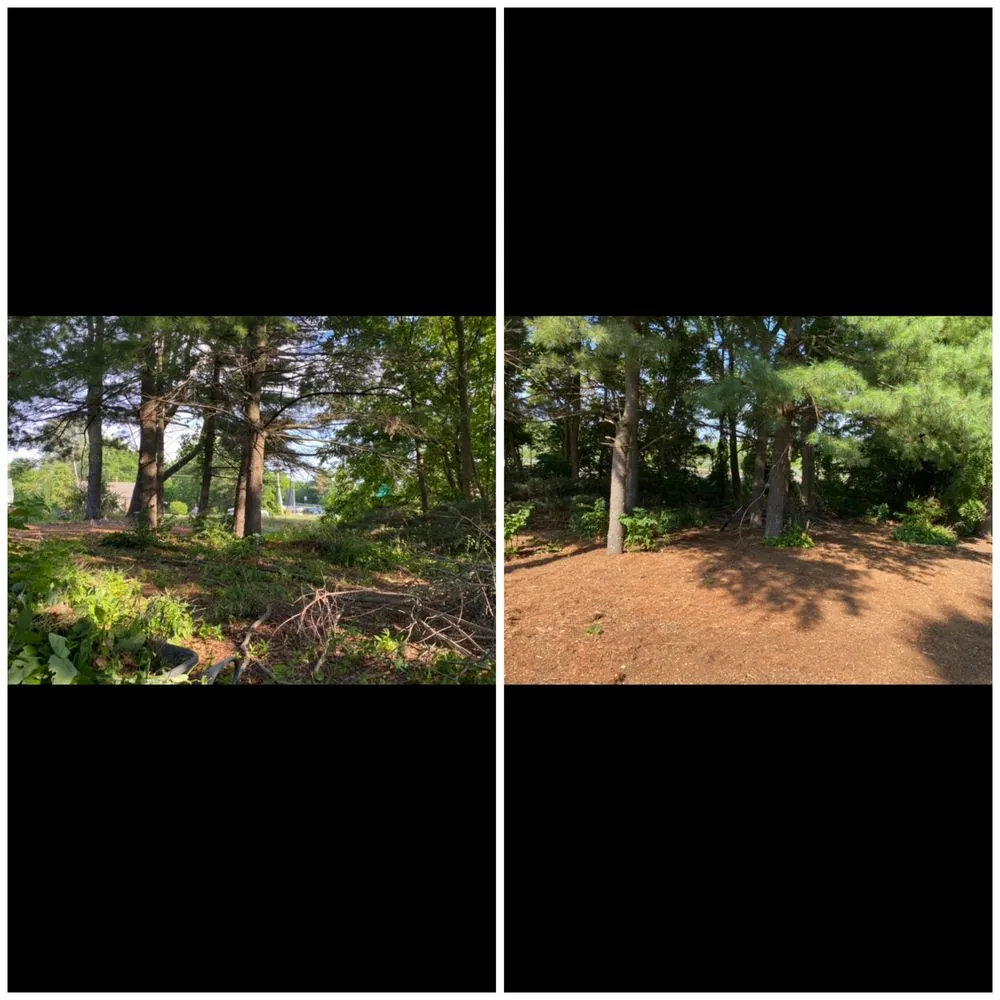 Reliable garden landscaping for beautiful yards across Kensington, CT - MJM Property Improvement