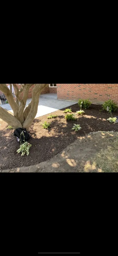 Expert outdoor landscaping for homes across Kensington, CT - MJM Property Improvement