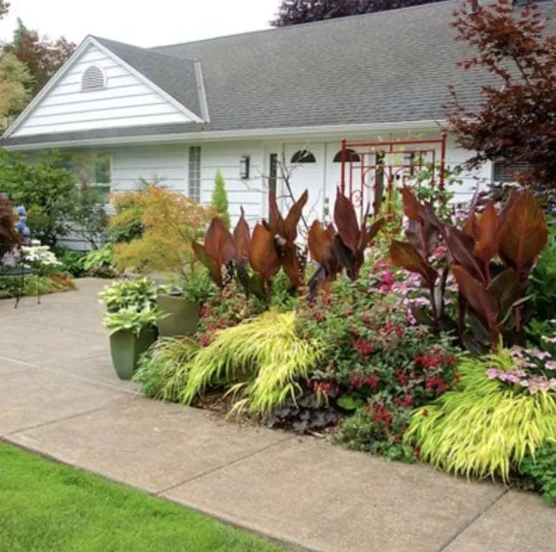Top-rated lawn care service experts serving Park City, IL - Mjmd