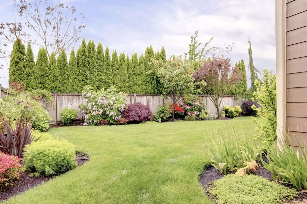 Affordable landscaping services experts serving Park City, IL - Mjmd