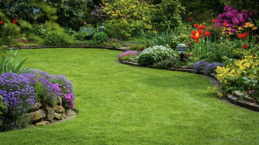 Professional lawn care service in Park City, IL - Mjmd
