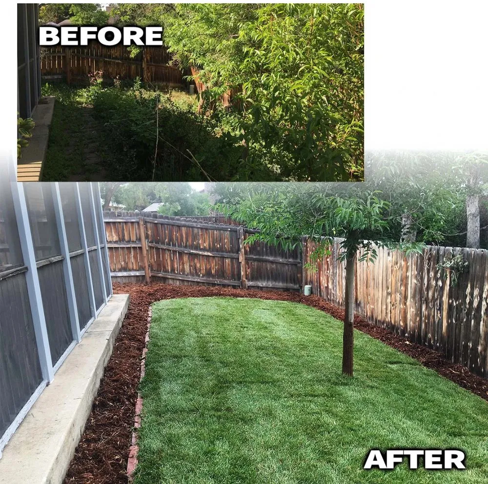Professional landscape design in Dayton, OH by MJP Poison Ivy Removal