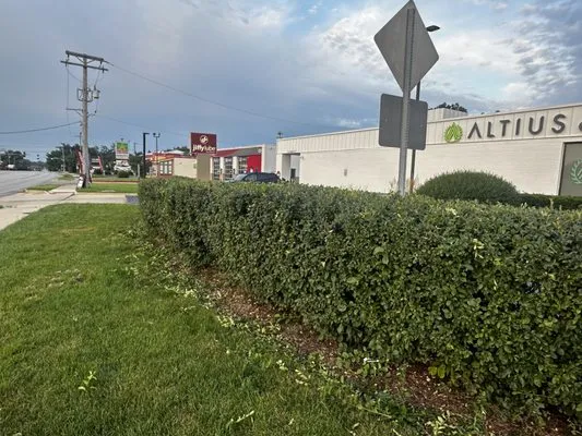 MJPW Pros Landscaping