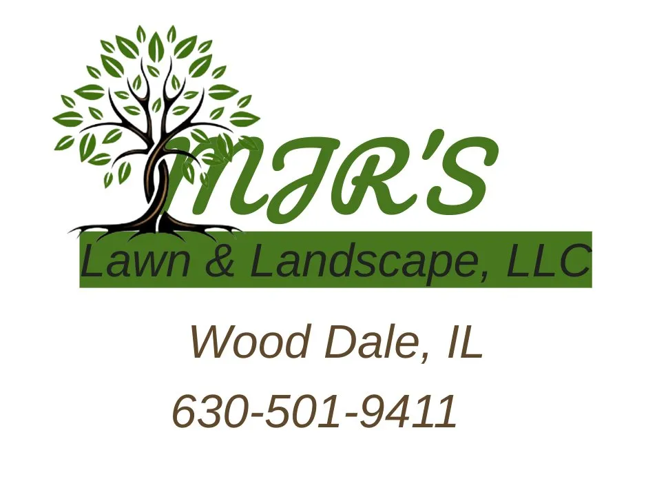 Professional yard cleanup service for beautiful yards in Wood Dale, IL by MJR’s Lawn & Landscape