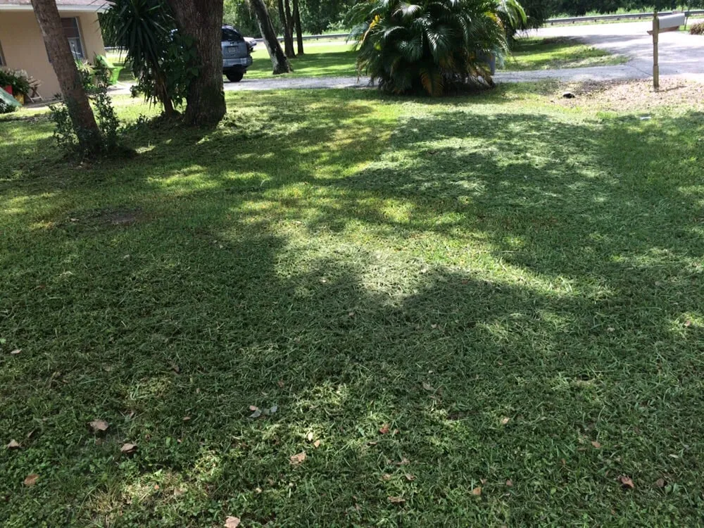 Professional yard cleanup service for year-round maintenance in Okeechobee, FL by MJR's Lawn Service