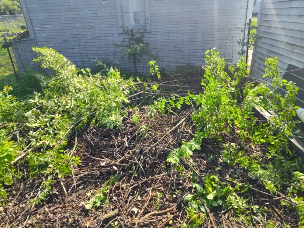 Professional landscape installation for year-round maintenance in Fort Wayne, IN by MJ'S Affordable Lawn Care