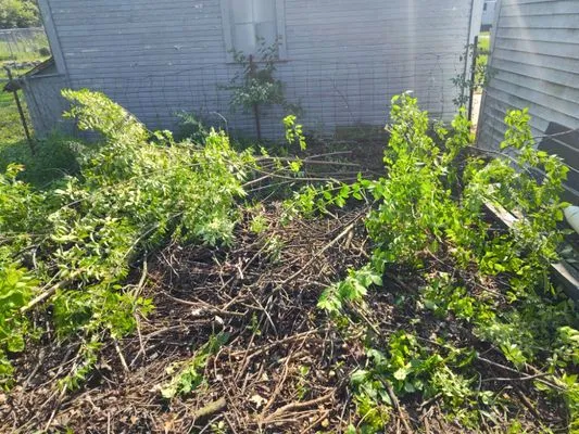 MJ'S Affordable Lawn Care Logo