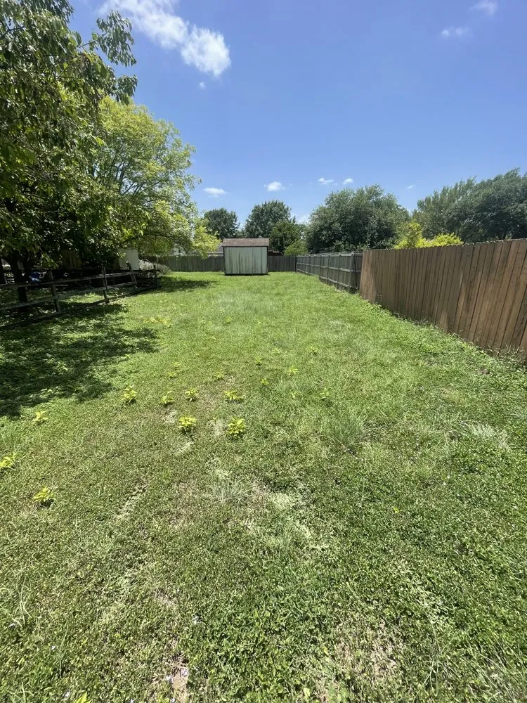 Local outdoor landscaping in San Marcos, TX by MJ’s Elite Mowing