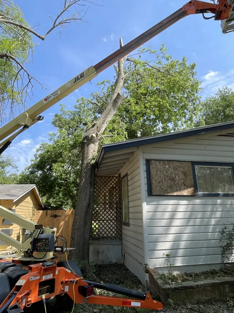 Local landscaping services near you in San Marcos, TX by MJ’s Elite Mowing