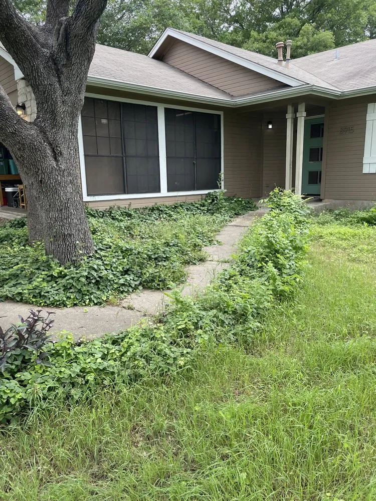 Expert lawn mowing service in San Marcos, TX - MJ’s Elite Mowing