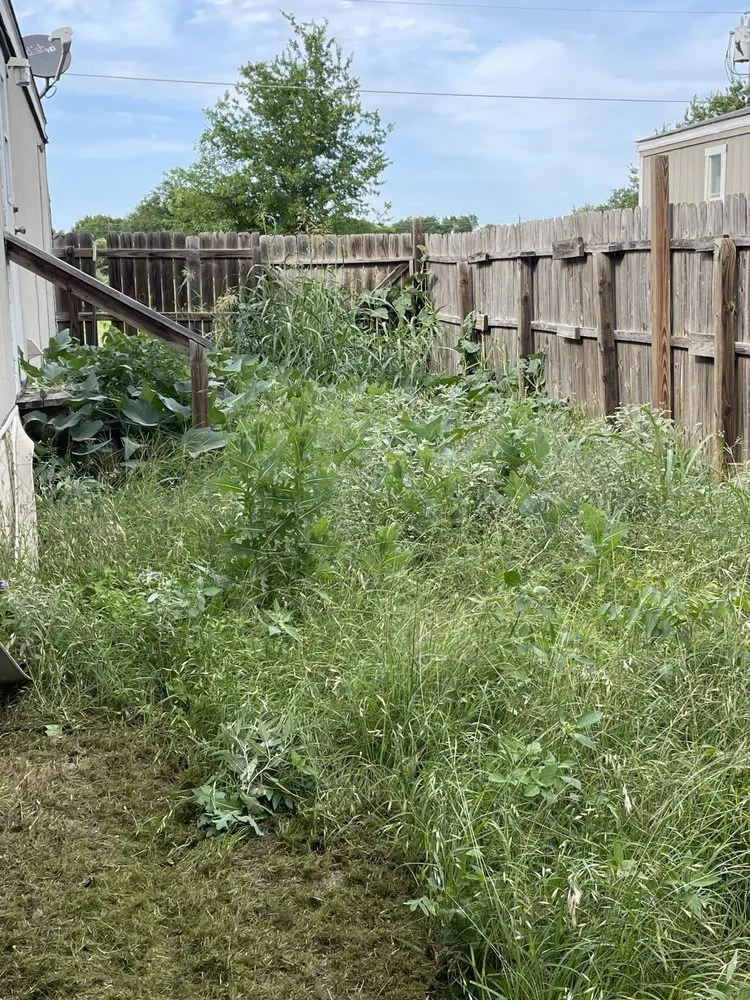 Reliable lawn care service in San Marcos, TX - MJ’s Elite Mowing