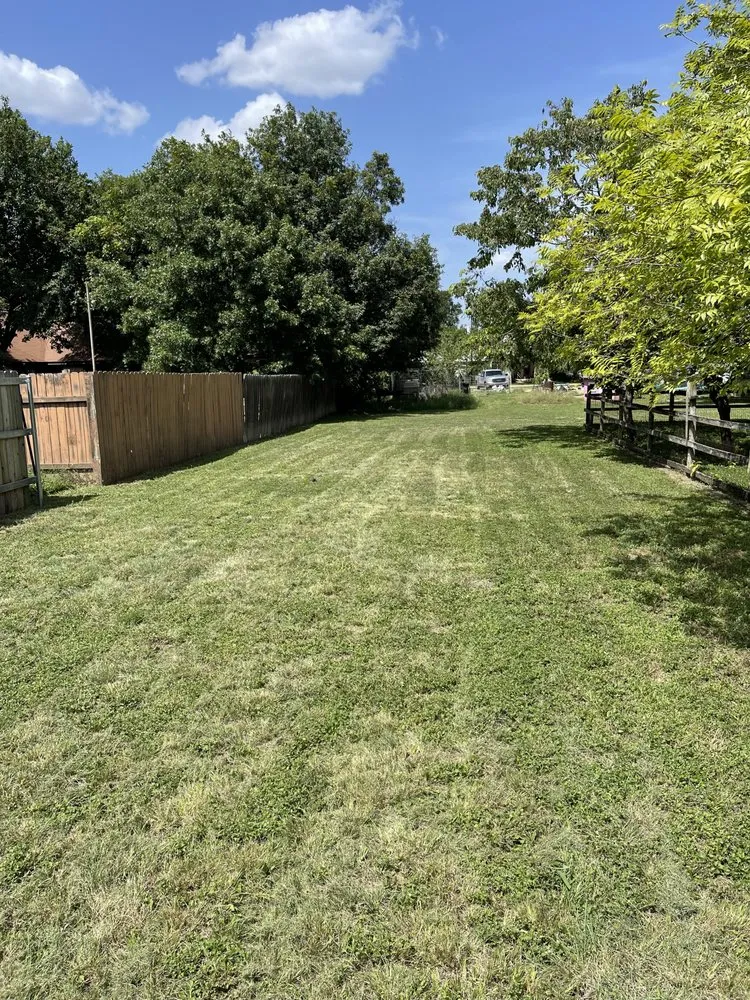 Local lawn care service for outdoor upgrades in San Marcos, TX by MJ’s Elite Mowing