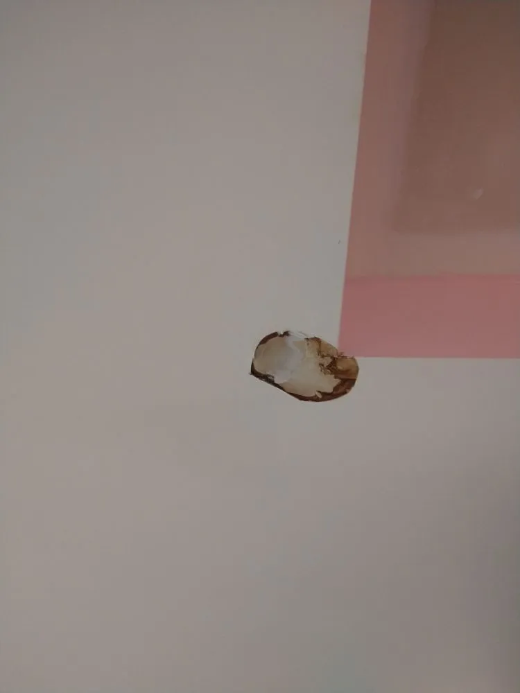 Reliable garden landscaping for residential properties across West Seneca, NY - MJ's Handyman Services