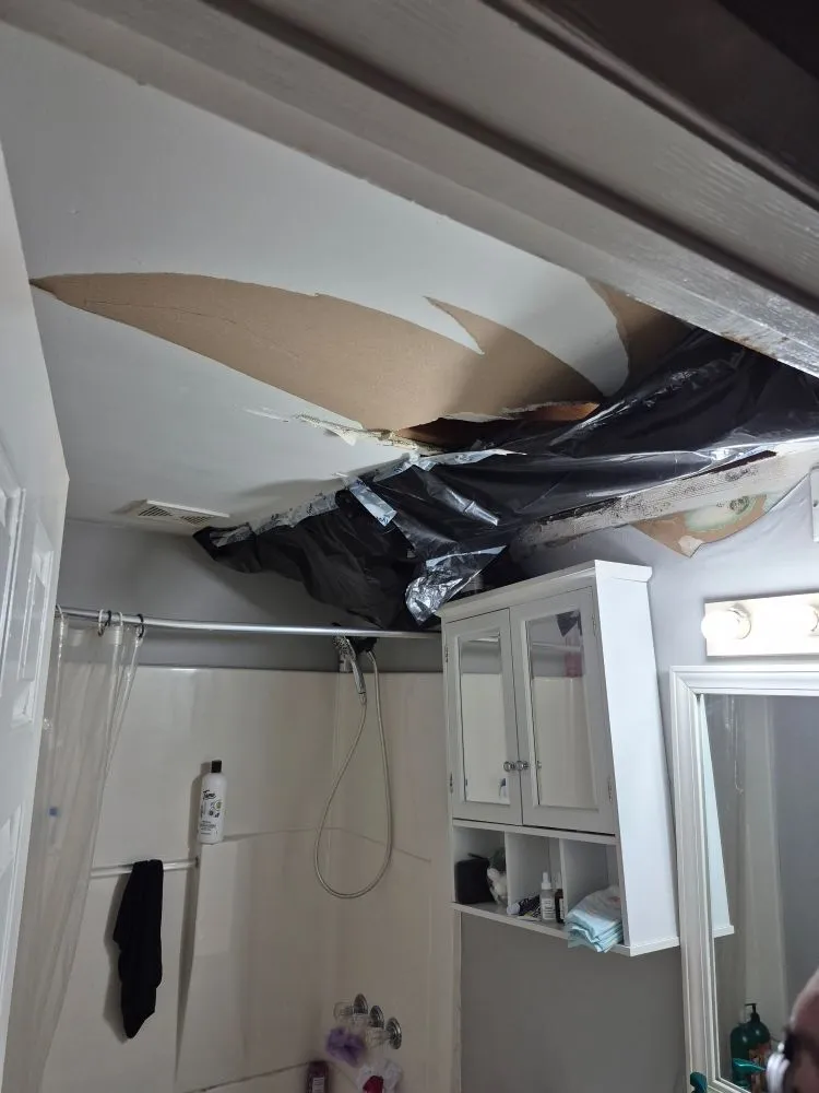 Reliable residential landscaping for year-round maintenance in West Seneca, NY by MJ's Handyman Services