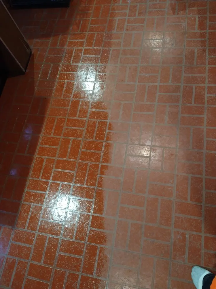 Local yard cleanup service in West Seneca, NY by MJ's Handyman Services