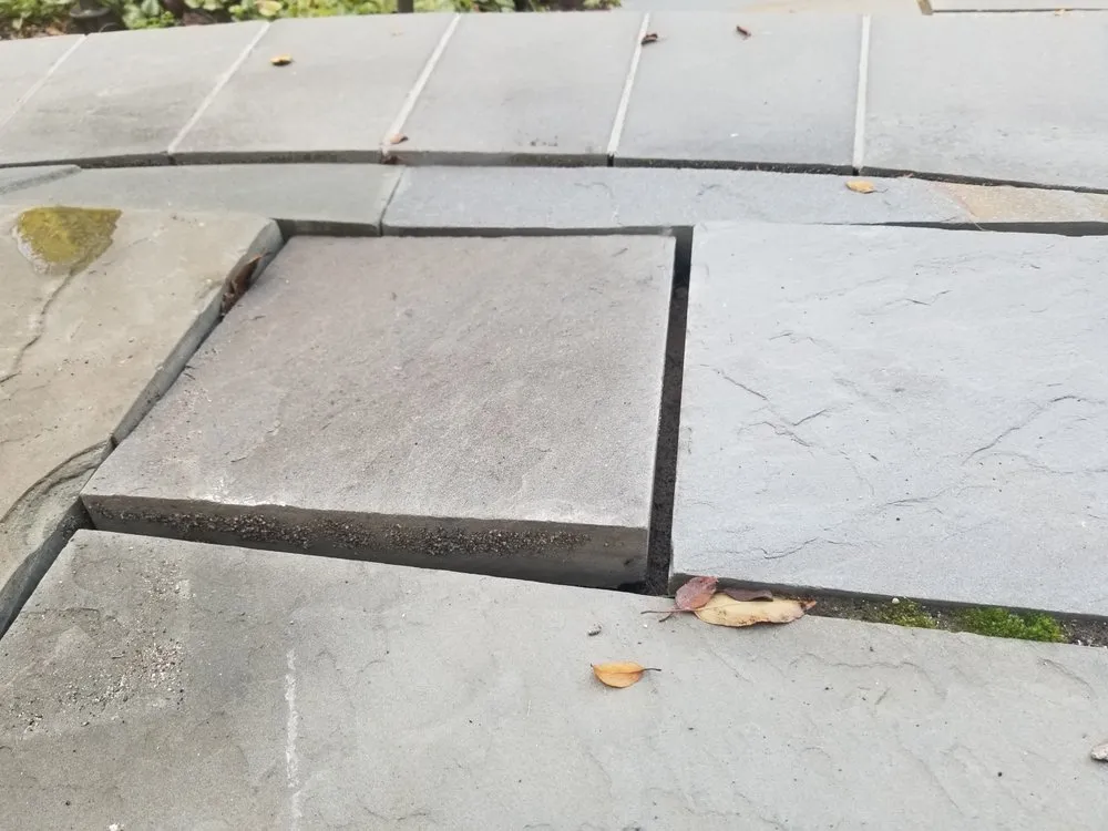 Affordable yard cleanup service for beautiful yards in Waukesha, WI by MJS Landscaping Services