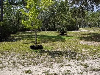 Local yard cleanup service in Hawthorne, FL - MJ's Lawn & Garden