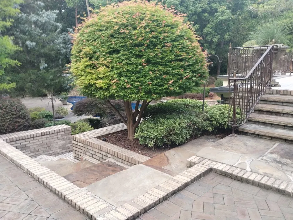 Professional lawn care service in Rome, GA - MJ's Lawn And Home