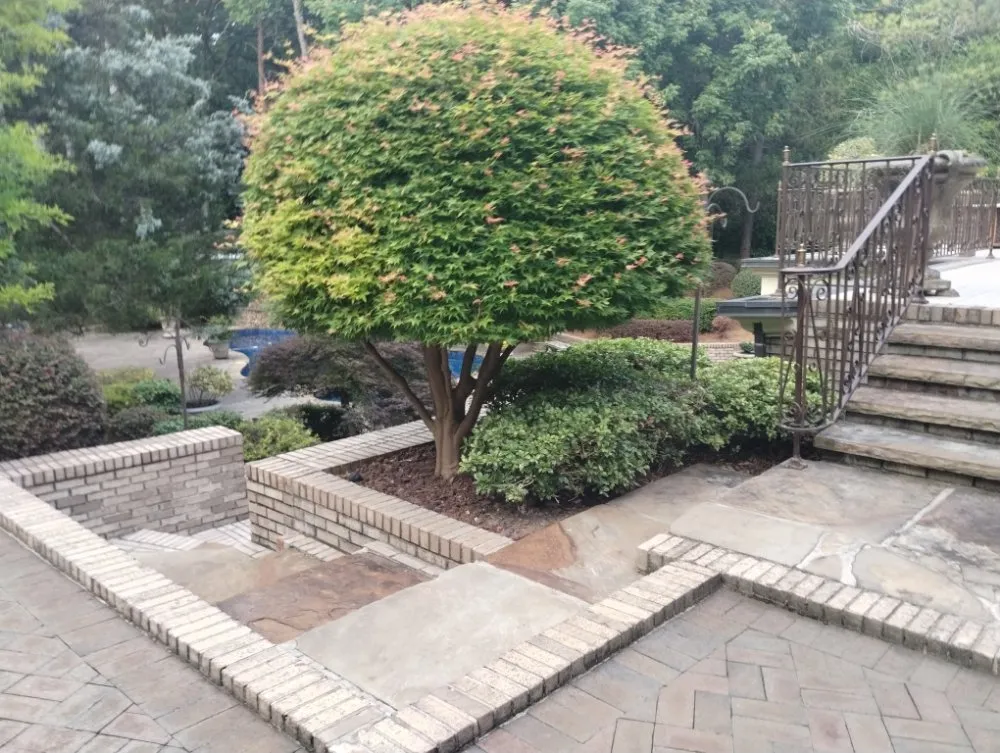 Professional lawn care service in Rome, GA - MJ's Lawn And Home