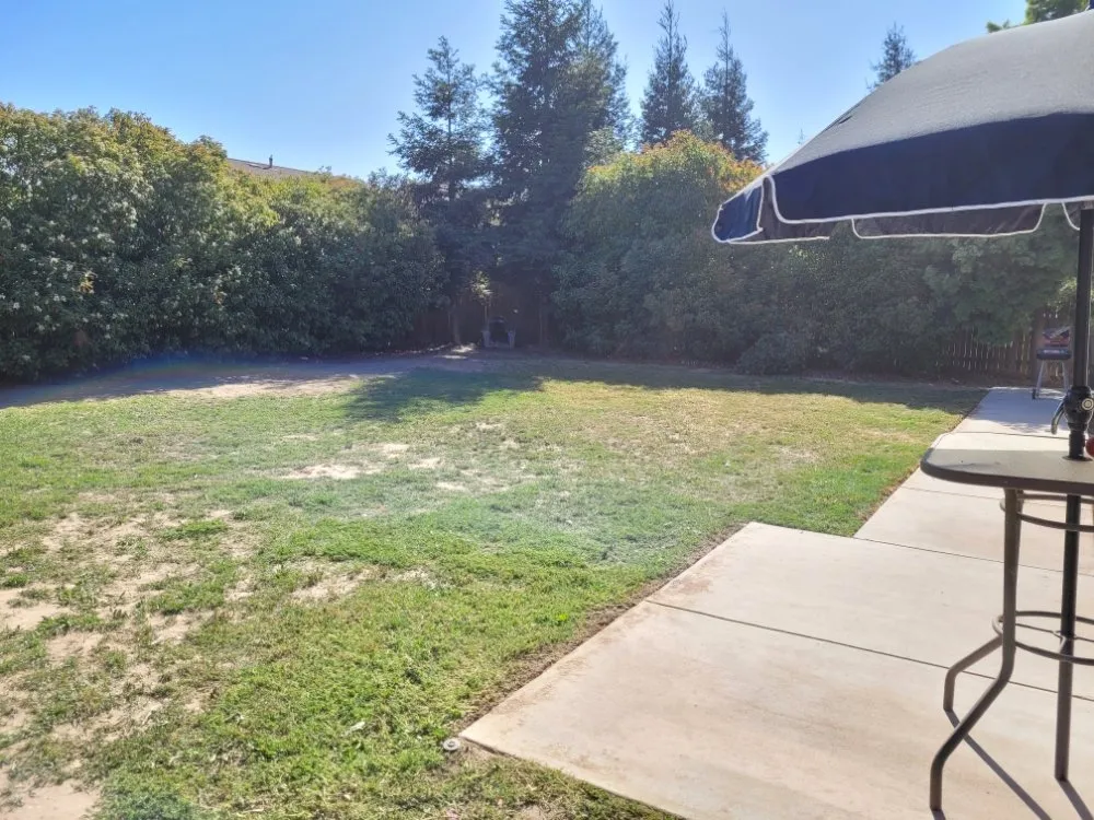 Expert lawn care service in Hanford, CA - MJ's Lawn Care