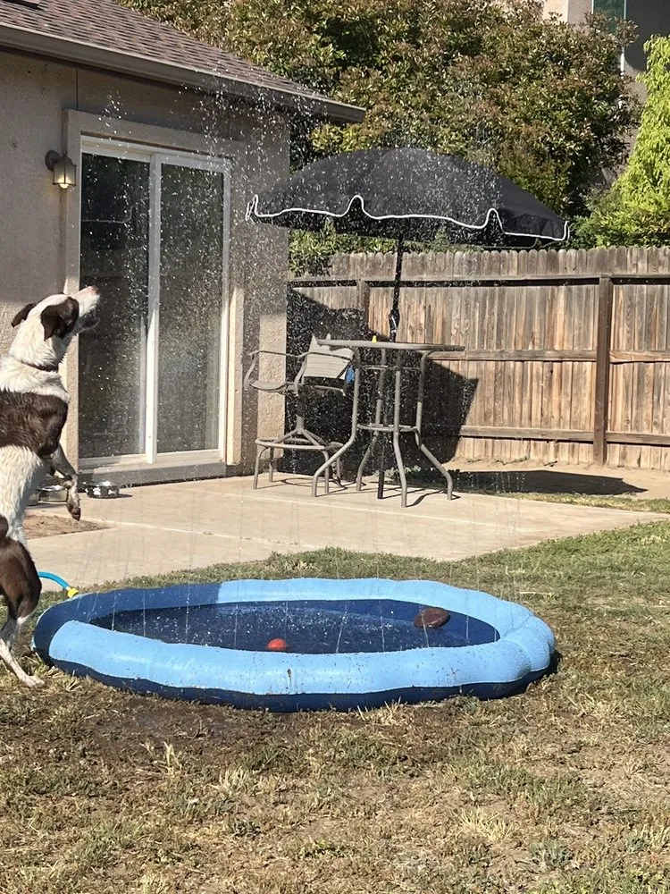 Expert lawn mowing service experts serving Hanford, CA - MJ's Lawn Care