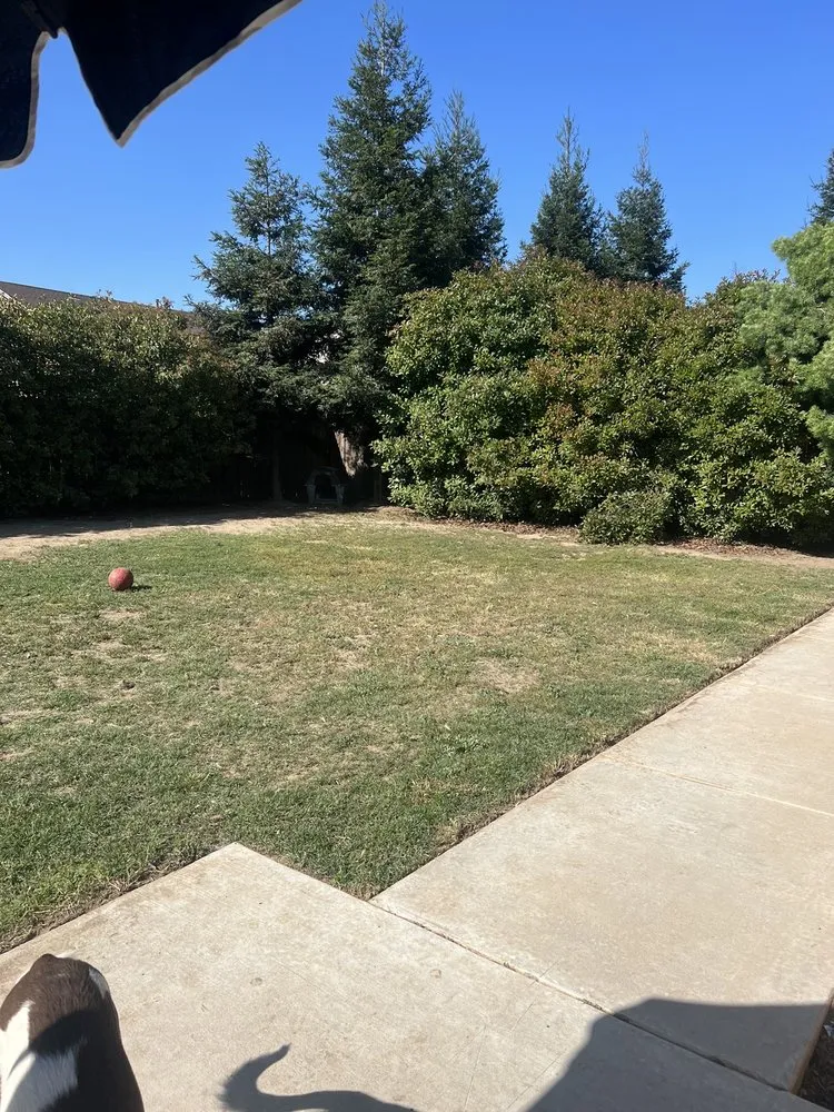 Reliable landscape installation in Hanford, CA - MJ's Lawn Care