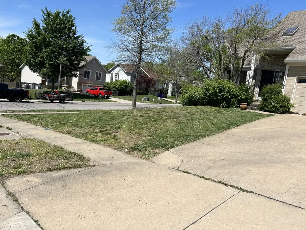 Local yard cleanup service in Kansas City, MO by MJS Lawn Care