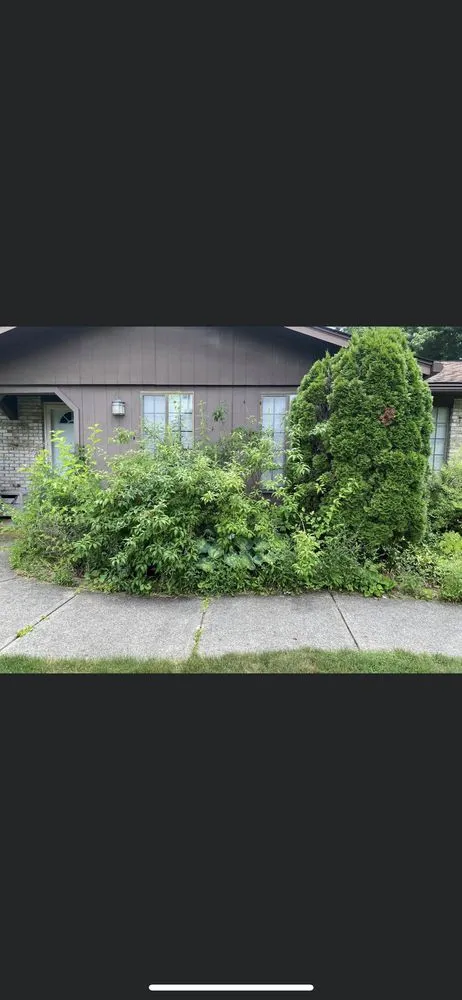 Local garden landscaping experts serving Xenia, OH - Mjs Lawn Care