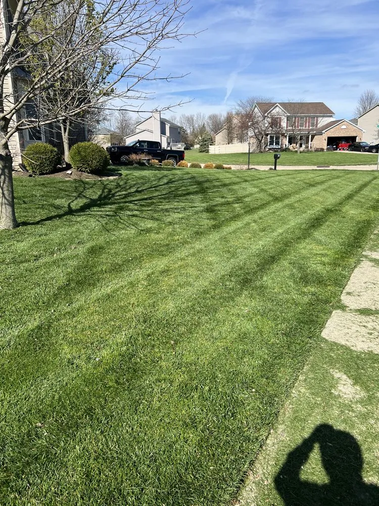 Expert lawn care service for year-round maintenance in Xenia, OH by Mjs Lawn Care